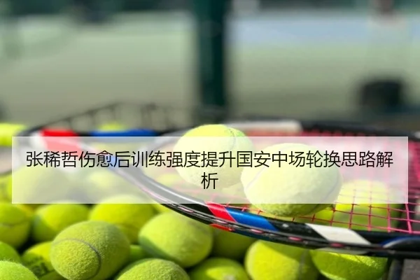 张稀哲伤愈后训练强度提升国安中场轮换思路解析