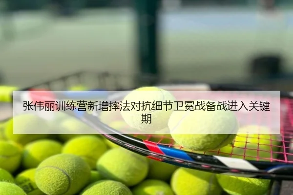 张伟丽训练营新增摔法对抗细节卫冕战备战进入关键期